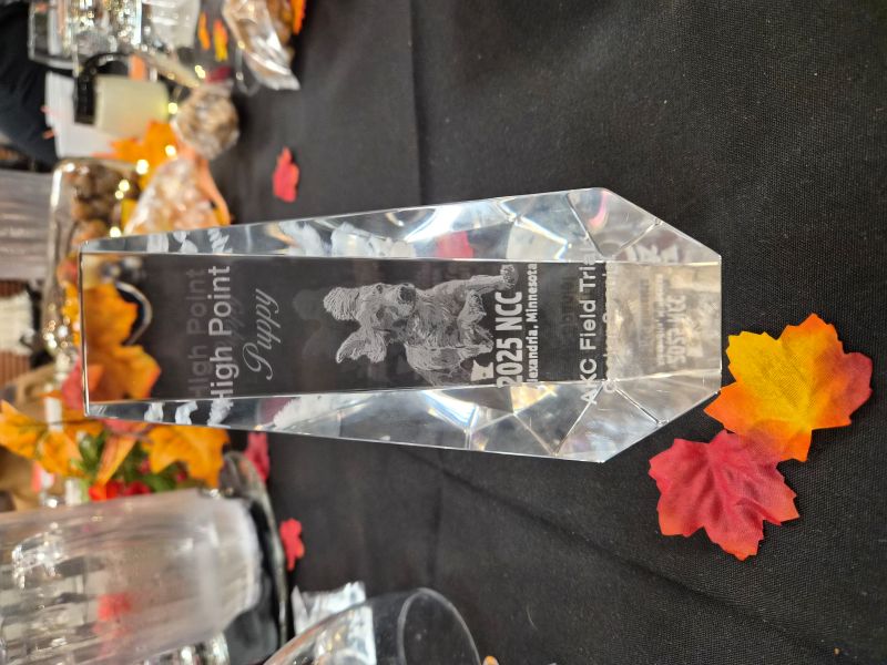 Nationals High Point Puppy Award_Thumper_resize.jpg