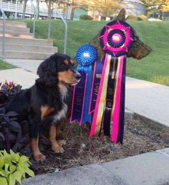 Zephy Barn Hunt Natl Champion_J.JPG